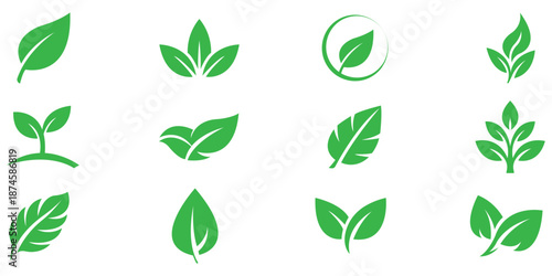 Green leaf icon set, Nature eco plant symbols, Organic foliage silhouette collection
