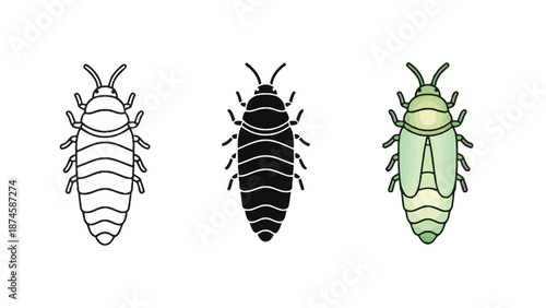 Set of three glowworm illustrations outline, silhouette and colored vector icon