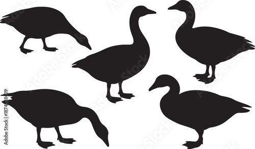 Goose Silhouettes Set Black Vector Collection Farm Bird Animal Icons Pack, vector and illustration, black and white	