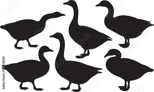 Goose Silhouettes Set Black Vector Collection Farm Bird Animal Icons Pack, vector and illustration, black and white	
