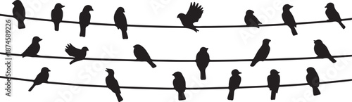 Bird Silhouettes on Wires Set Black Vector Collection Perched Birds Icons, vector and illustration, black and white	