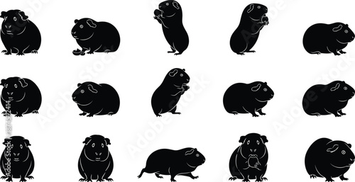 Black Silhouette Vector of Guinea Pigs in Various Poses and Movements Arranged in Grid Layout on White Background