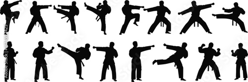 Black Silhouette Vector of Martial Artists Demonstrating Various Kicks, Punches, and Stances in Dynamic Action Poses on White Background