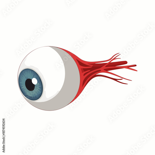 Human eyeball with blue iris and visible optic nerves, a detailed anatomical illustration representing vision, biology, and ophthalmology concepts on a clean white background.