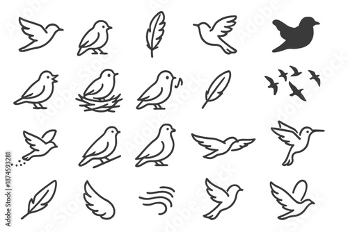 Bird Line Icons. Line style icons of birds in motion: flying bird, perched sparrow, feather spread, wing flap, bird silhouette,