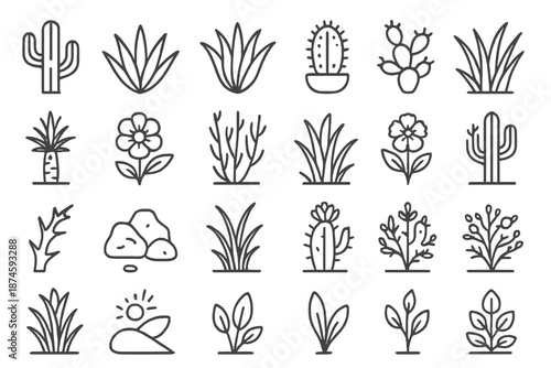 Desert Flora Icons. Line style icons of desert flora: cactus, agave, aloe, barrel cactus, prickly pear, yucca, desert bloom,