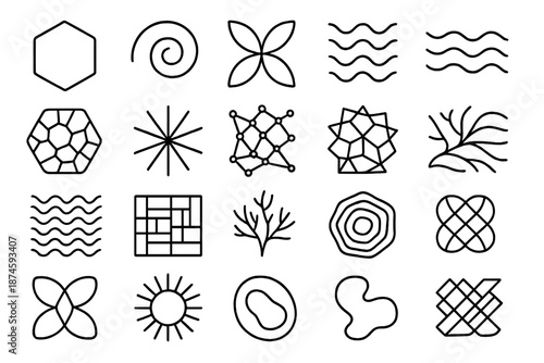 Nature's Geometric Patterns. Line style icons of nature’s geometry: hexagon, spiral, symmetry pattern, wave form, cellular texture