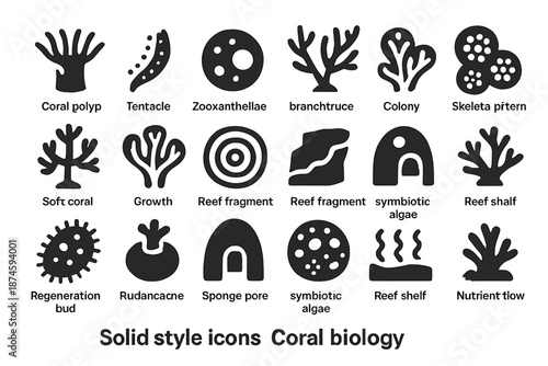 Coral Biology Icons. Solid style icons of Coral Biology: coral polyp, tentacle, zooxanthellae cell, branch structure, colony