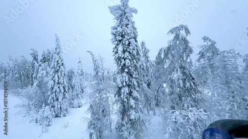 Snow-white fir trees in the Urals in winter, beautiful landscape. High quality 4k footage