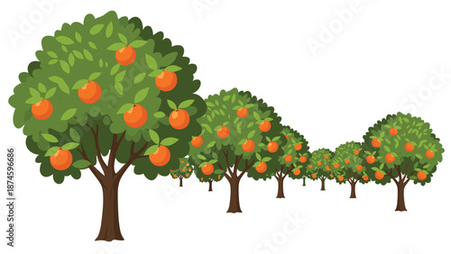 Scenic perspective of a thriving orange grove with lush green trees abundantly bearing ripe oranges, stretching into the distance under a bright sky.