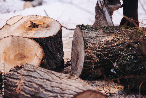 Lumberjack woodcutter with chainsaw in uniform cutting a massive tree in the winter forest, logger sawing and chopping firewood timber tree trunk on sawmill, lumberman at work, sawdust and woodchips