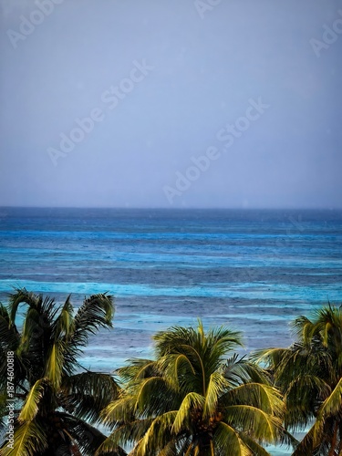 Naturaleza en tono azul 