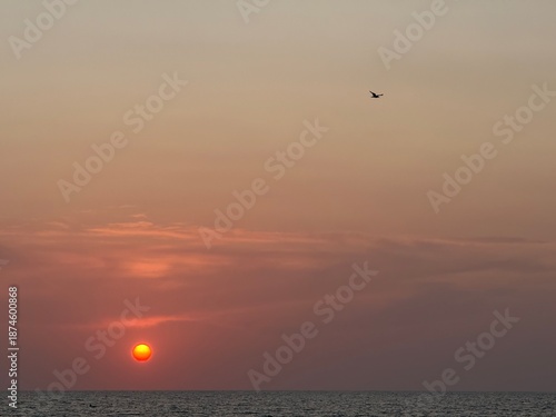 Sunset on a beach, with an orange colour. Very beautiful summer panorama. Golden hour.