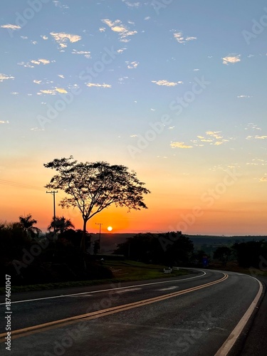 A sunset with a tree, a very beautiful view.