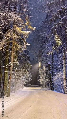 View at snowy road or alley in night park during winter snowfall. Winter landscape. Trees and fir trees are covered with frost and snow under the light of a street lamp. Slow motion vertical footage