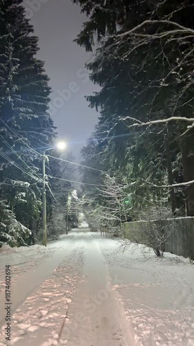 View at snowy night road in rural area with private houses in winter. Fir trees and pines are covered with frost and snow under the light of a street lamp. Slow motion action vertical footage