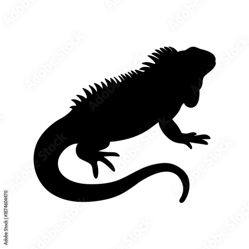 Silhouette of a lizard