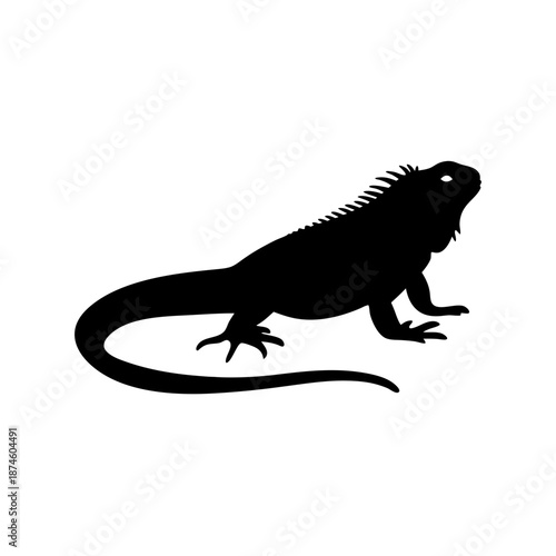 Silhouette of a lizard