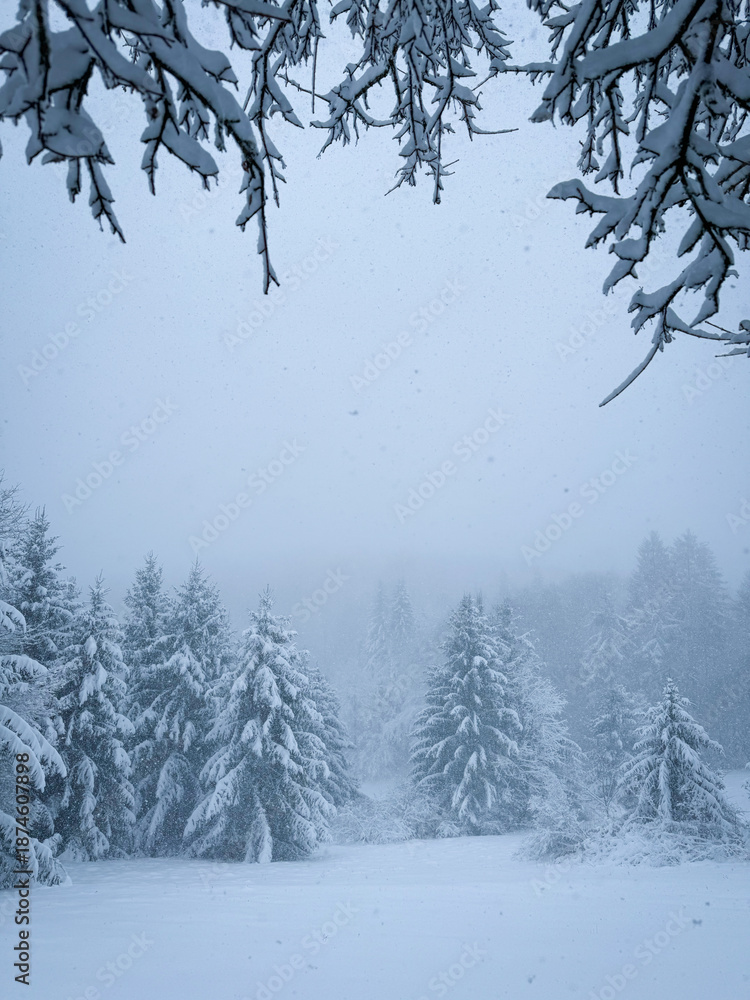 Fototapeta premium Snowy tree branches frame a quiet winter forest where distant conifer trees fade into mist. Heavy snowfall falls over a remote, pristine landscape, transforming it into a white winter wonderland.