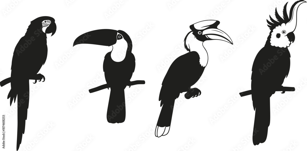 Obraz premium Four tropical birds perched on branches in black silhouette