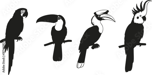 Four tropical birds perched on branches in black silhouette