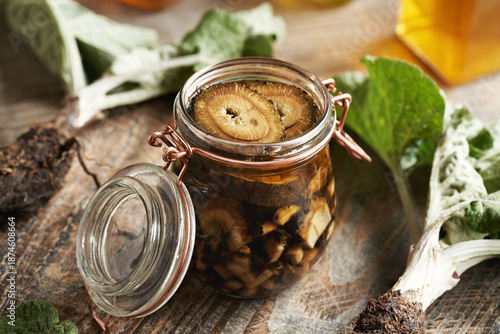 Obraz na plátně Making homemade herbal tincture from fresh sliced burdock root in a glass jar