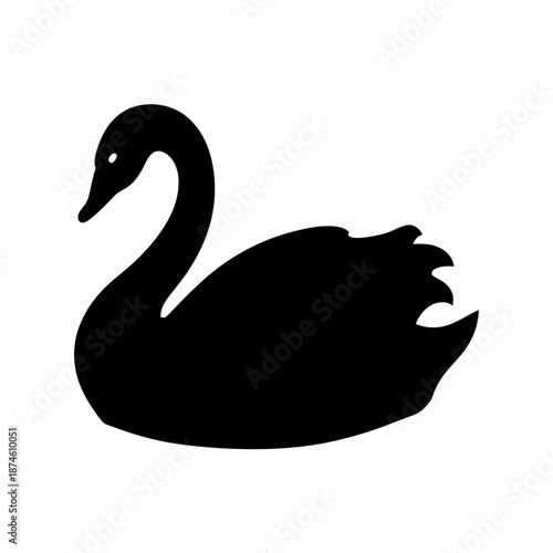Graceful black swan silhouette