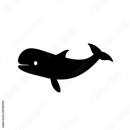 Leaping dolphin in silhouette