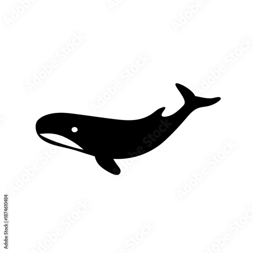Black and white orca swimming