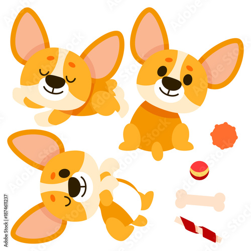 A set of cute cartoon corgi dogs in different poses and toys with balls