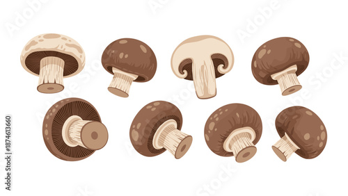 Comprehensive collection of various whole and expertly sliced brown and white mushrooms, displayed from multiple angles to highlight their distinct textures and details.