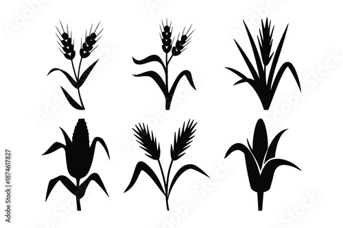 Agricultural crops and grain plant silhouette icons for farming