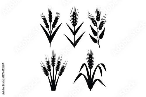 Wheat Stalks and Agriculture Cereal Grain Plant Silhouettes