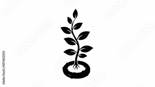 A single, delicate plant seedling emerging from fertile soil, symbolizing growth and new beginnings.