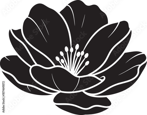 Black and White Flower Silhouette Isolated on Transparent Background_2