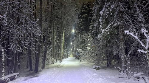 Snowy road or alley in night park during winter snowfall. Winter landscape. Trees and fir trees are covered with frost and snow under the light of a street lamp. Slow motion footage