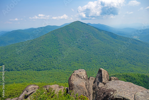 Verdant Mountain High in the Peaks of Otter