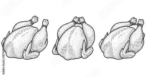 Three hand-drawn turkey illustrations: detailed sketches of uncooked birds