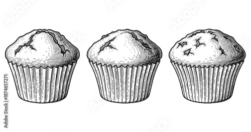 Vintage style engraving of three muffins in black and white sketch