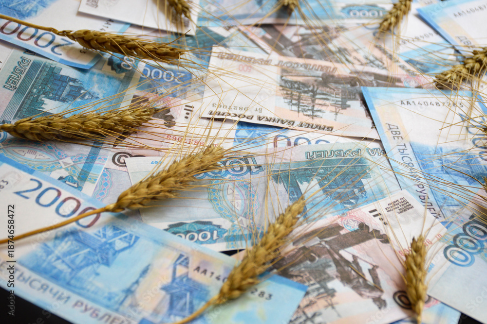 Obraz premium ears of wheat of black color on a fan of Russian rubles on a black background. selling or buying grain for cash. grain deal. world food program to help hungry countries