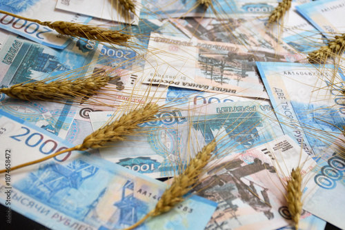 ears of wheat of black color on a fan of Russian rubles on a black background. selling or buying grain for cash. grain deal. world food program to help hungry countries
