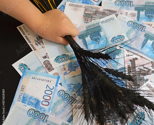 A child's hand holds ears of ripe black wheat against a background of Russian rubles. Selling or buying grain. Grain transaction. The World Food Programme (WFP) is helping famine-stricken countries.