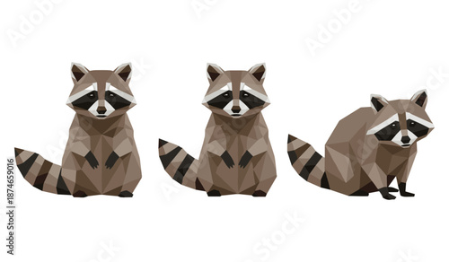 Geometric style illustration of three raccoons with distinct poses