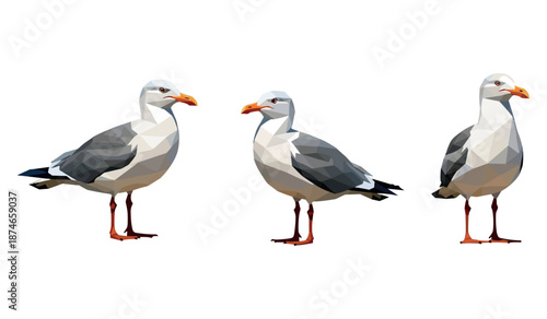 Low-poly style seagulls trio on white background