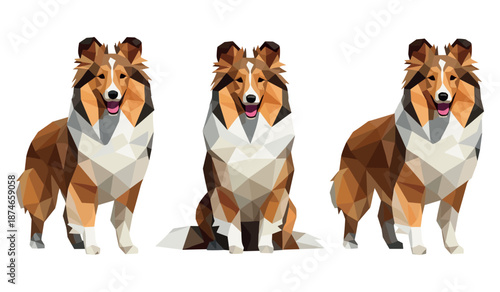 Polygonal collie dogs in various poses on white background