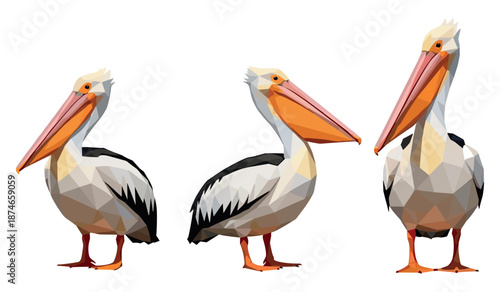 Colorful low poly pelican trio on white background