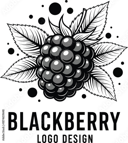 Blackberry Logo Botanical Fruit Vector Design