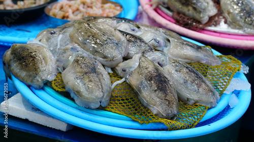 어시장에 진열된 갑오징어