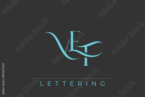 VEF Elegant Monogram Logo Design With Decorative Lettering