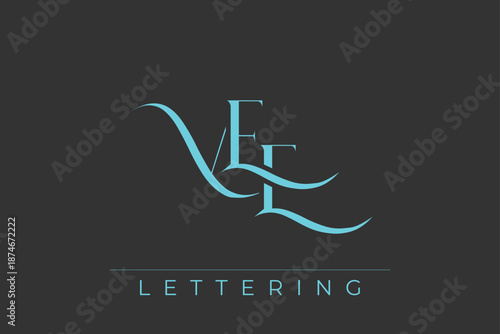 VEE Elegant Monogram Logo Design With Decorative Lettering